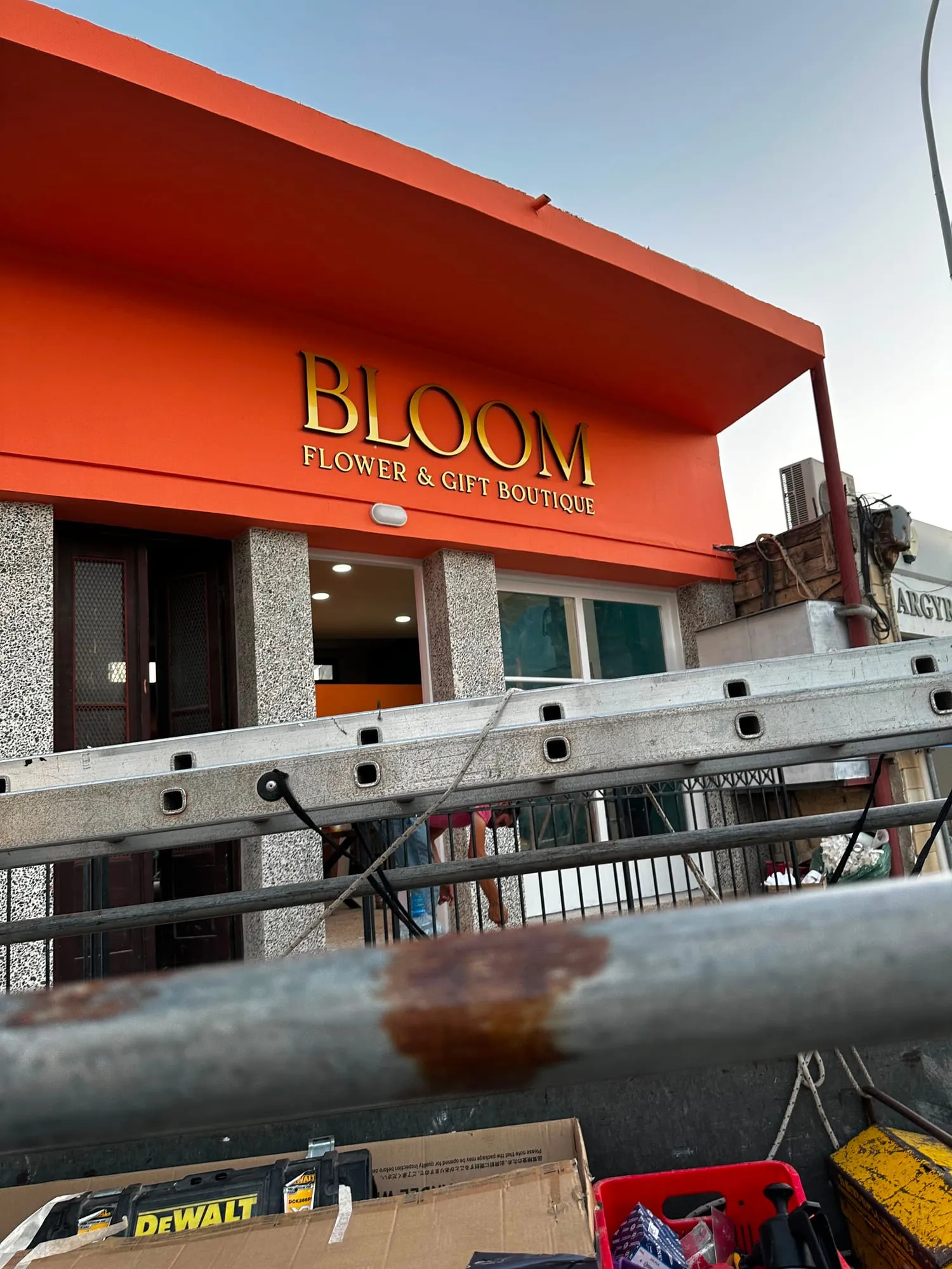 Bloom by Focus Signs